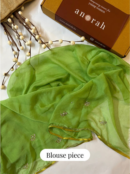 Sitaron ki Mehfil- Sage Green Pre-Pleated Saree