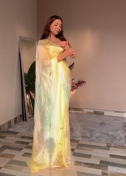 Rani- Yellow and blue